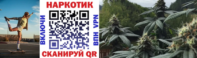 Где купить наркотики Суджа Галлюциногенные грибы COCAIN ГАШИШ Канабис Alpha-PVP АМФЕТАМИН