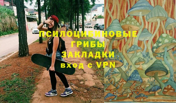 дурь Лиски