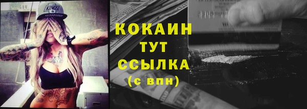 Альфа ПВП Пересвет