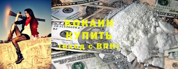 Альфа ПВП Пересвет