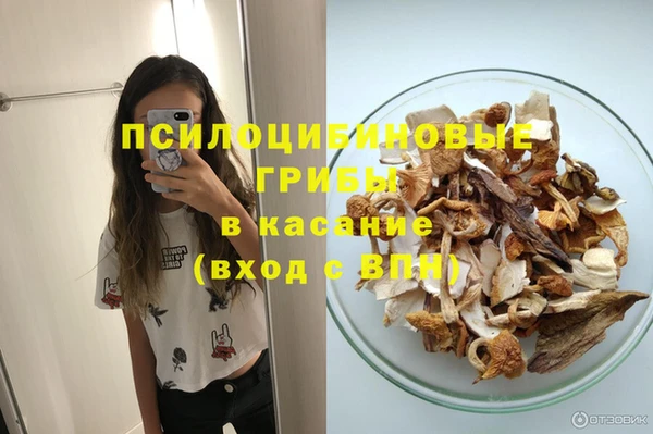 дурь Лиски