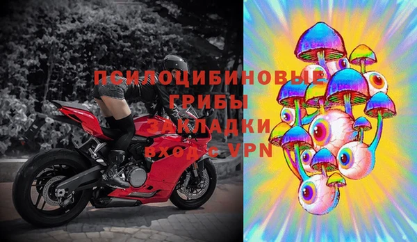 стаф Лагань
