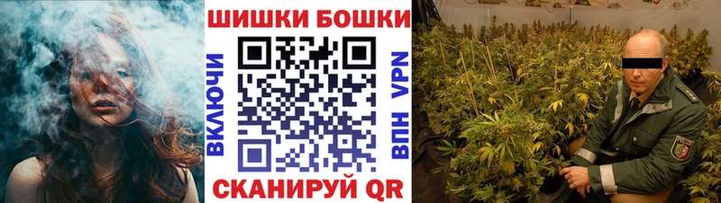 как найти закладки  Суджа  Каннабис марихуана 